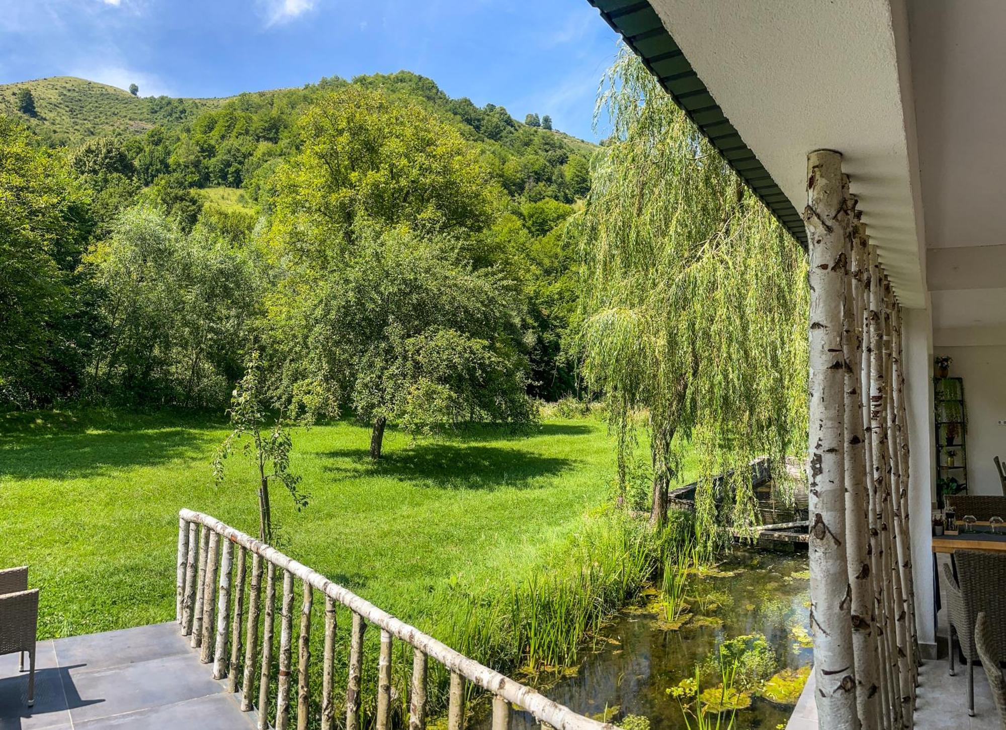 Pensiunea An De An Remeti Remeţi Exterior foto