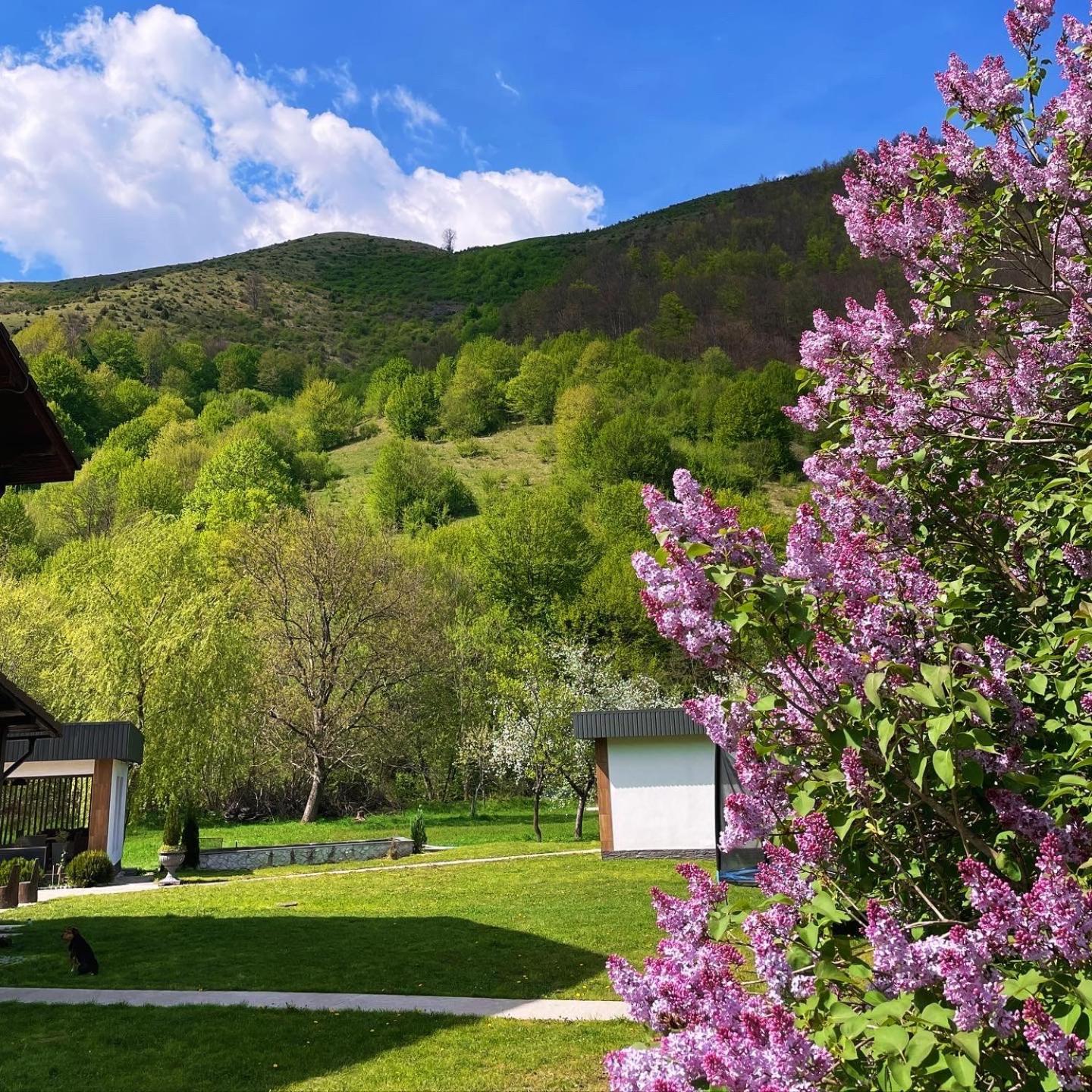 Pensiunea An De An Remeti Remeţi Exterior foto